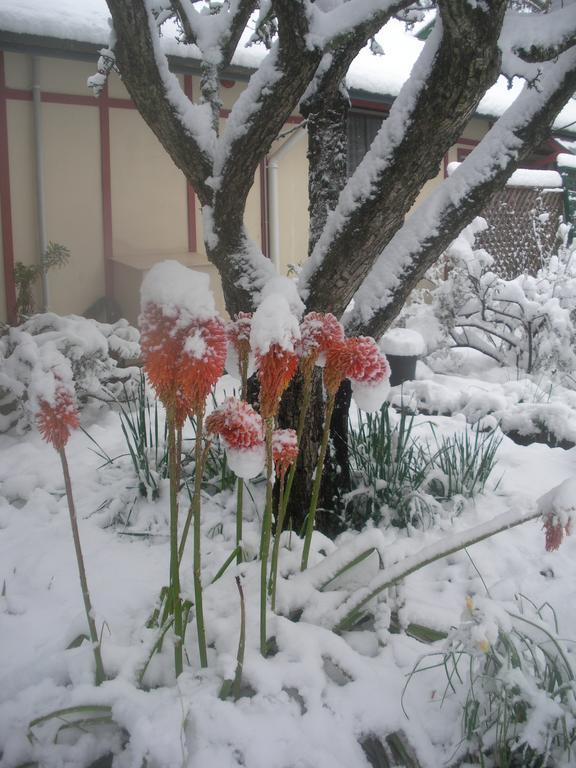 Secrets Hideaway Bed & Breakfast Blackheath Eksteriør bilde