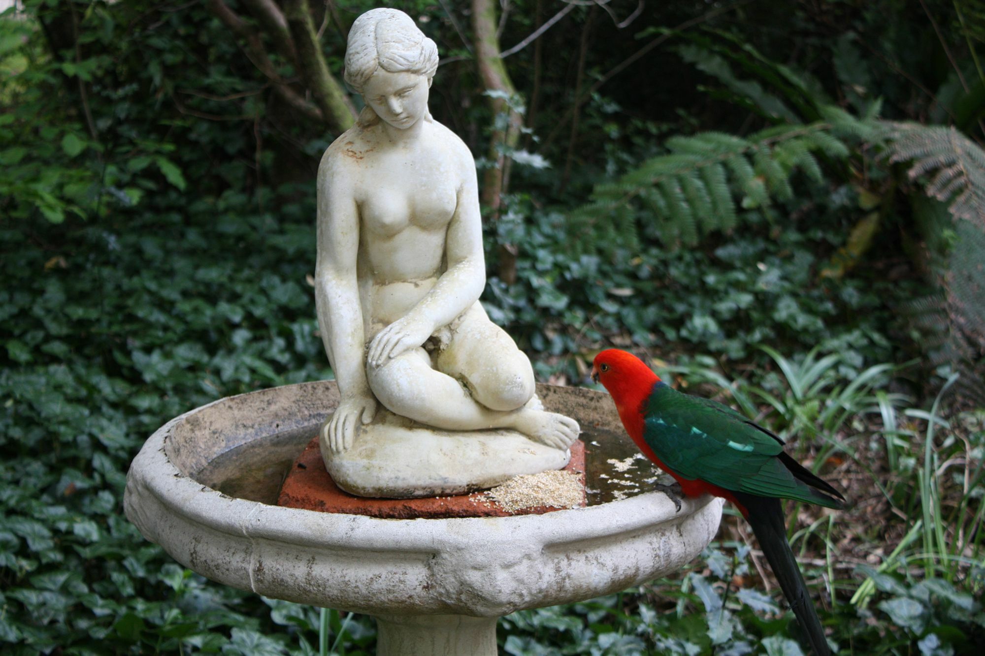 Secrets Hideaway Bed & Breakfast Blackheath Eksteriør bilde