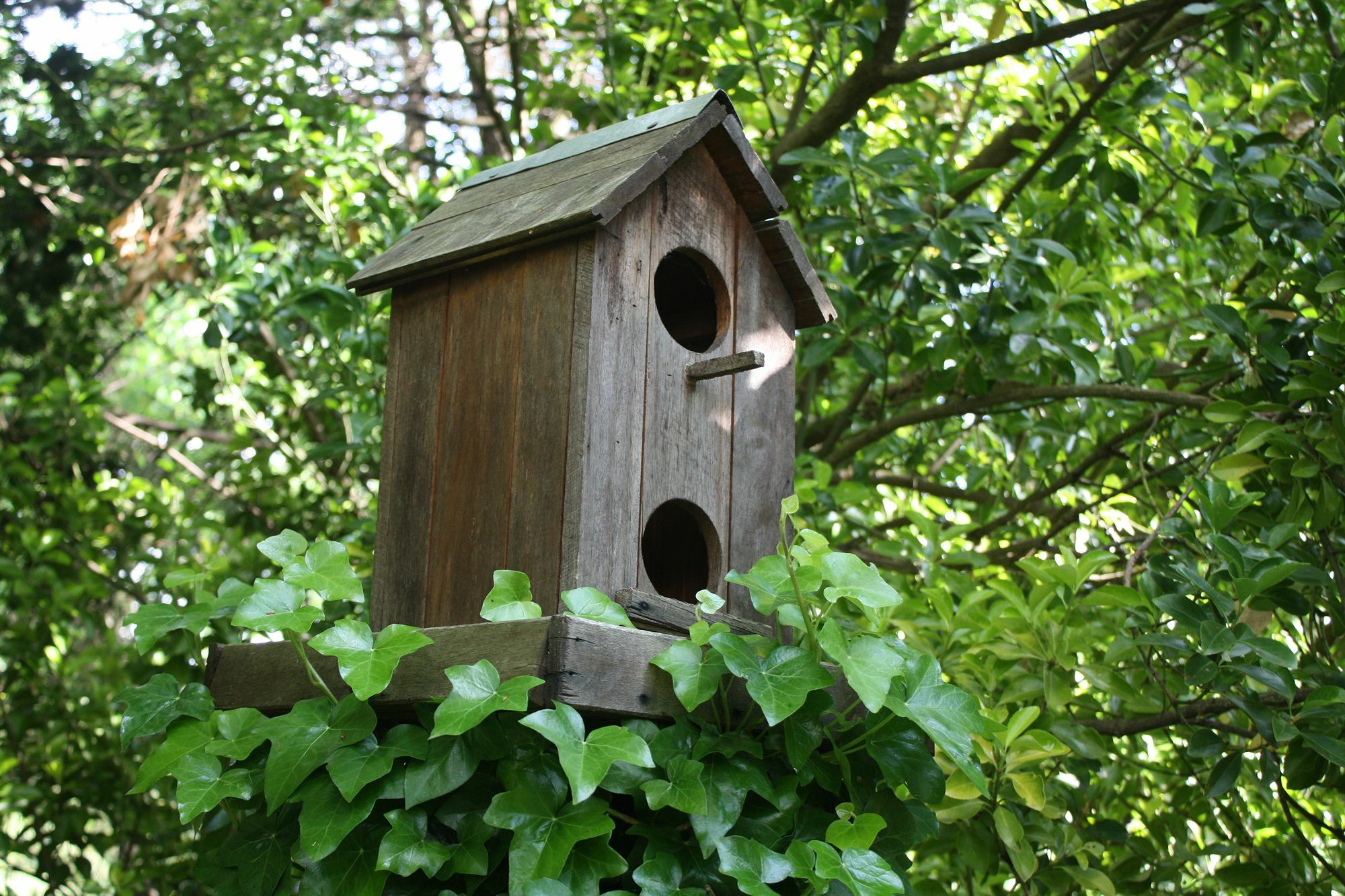 Secrets Hideaway Bed & Breakfast Blackheath Eksteriør bilde